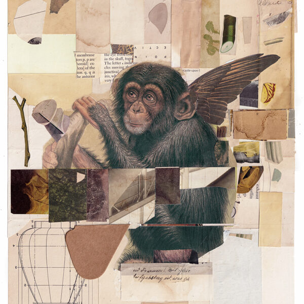 allan bealy alchemist